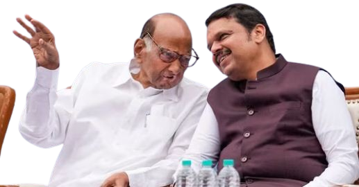 शरद पवार आणि देवेंद्र फडणवीस ओबीसी आरक्षणावरून टीकेच्या केंद्रस्थानी
